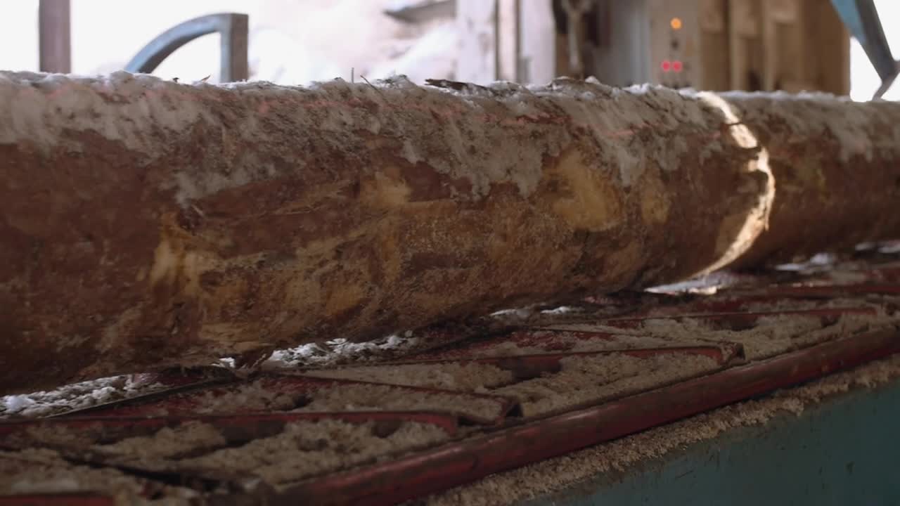 Stock Video Industrial Saw Cutting Through Wood Animated Wallpaper