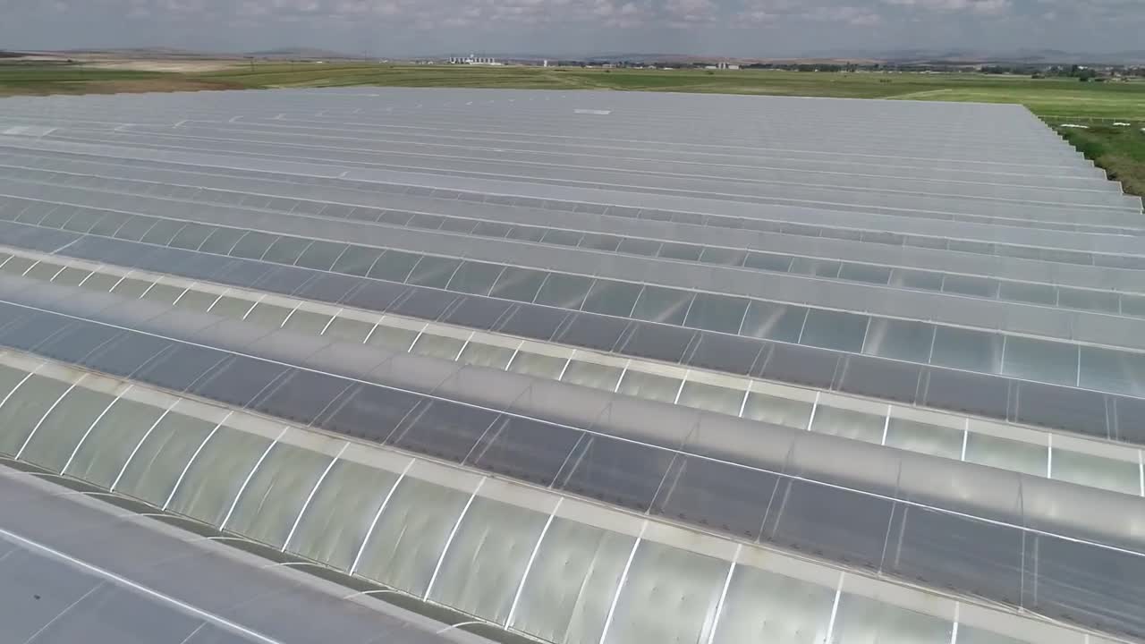 Stock Video Industrial Greenhouse Farm Animated Wallpaper