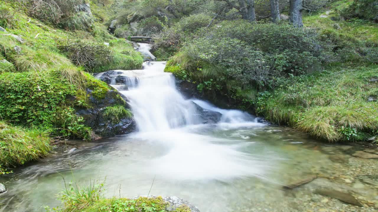 Stock Video Hyperlapse Of A Stream In The Woods Animated Wallpaper