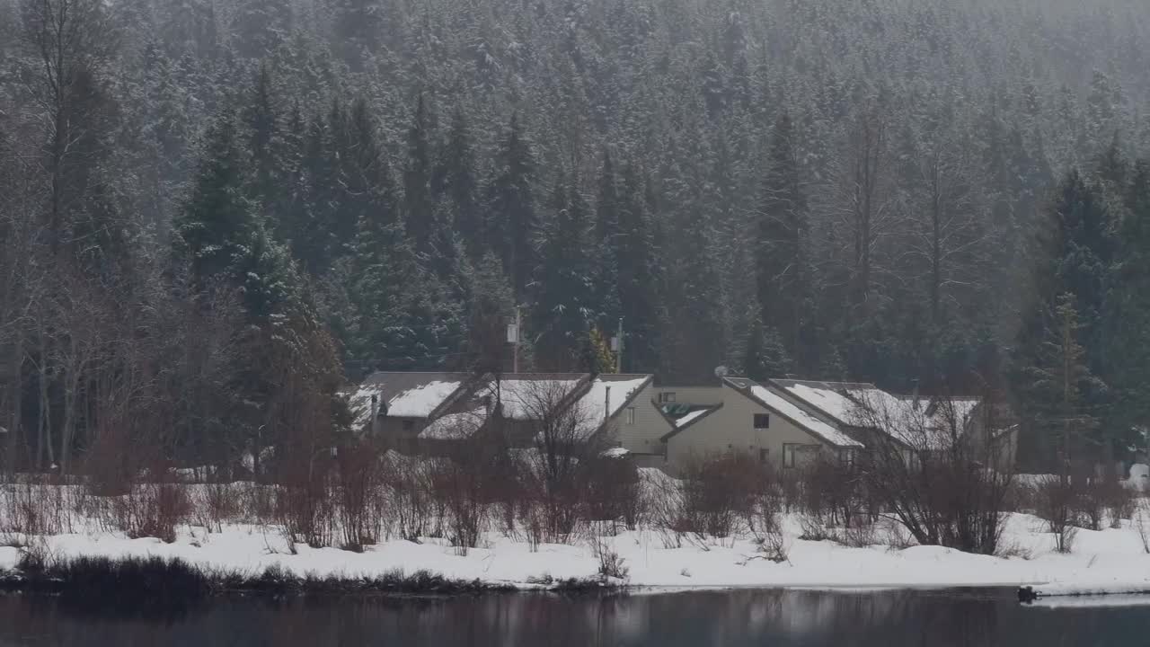 Stock Video Huts In A Snowy Forest Animated Wallpaper