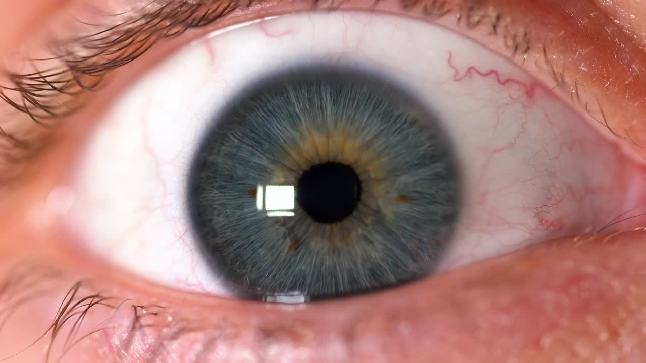 Stock Video Human Eye Focusing In Animated Wallpaper