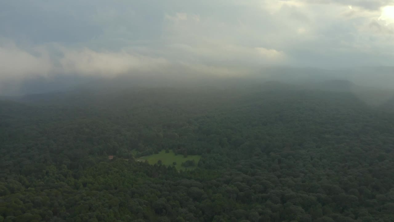 Stock Video Huge Forest Seen From The Heights During A Cloudy Day Animated Wallpaper