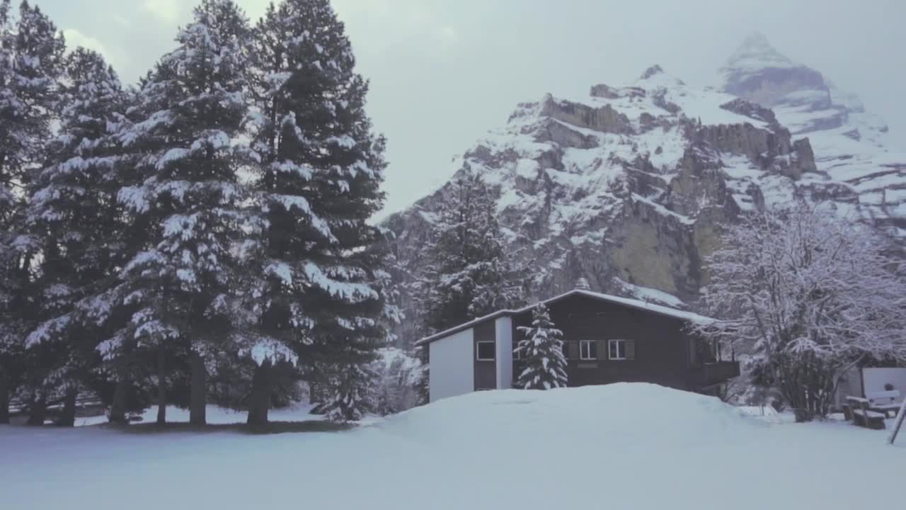 Stock Video Houses In A Forest During Winter Animated Wallpaper