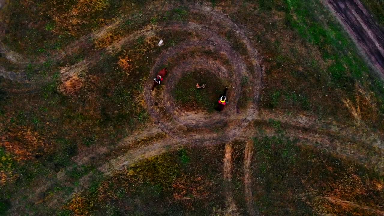 Stock Video Horses With Equestrians And A Dog Going In Circles On Animated Wallpaper