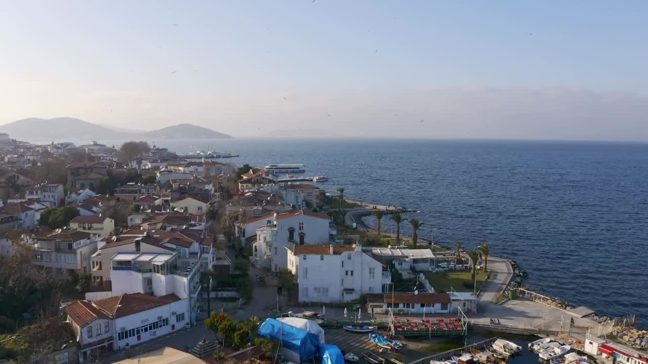 Stock Video Horses Pulling A Cart Through A City Animated Wallpaper