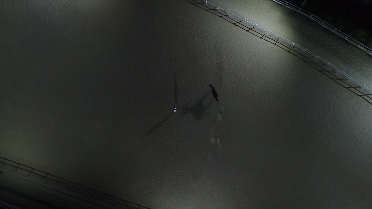 Stock Video Horse Racing Around A Pen Animated Wallpaper