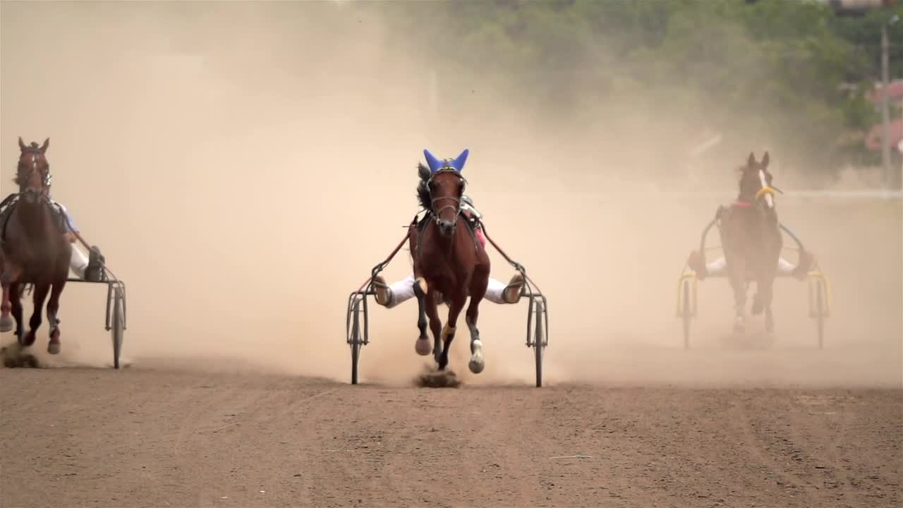 Stock Video Horse Race On A Dirt Road Animated Wallpaper