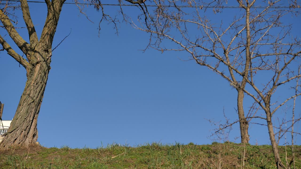 Stock Video Homeless Man In The Park Animated Wallpaper