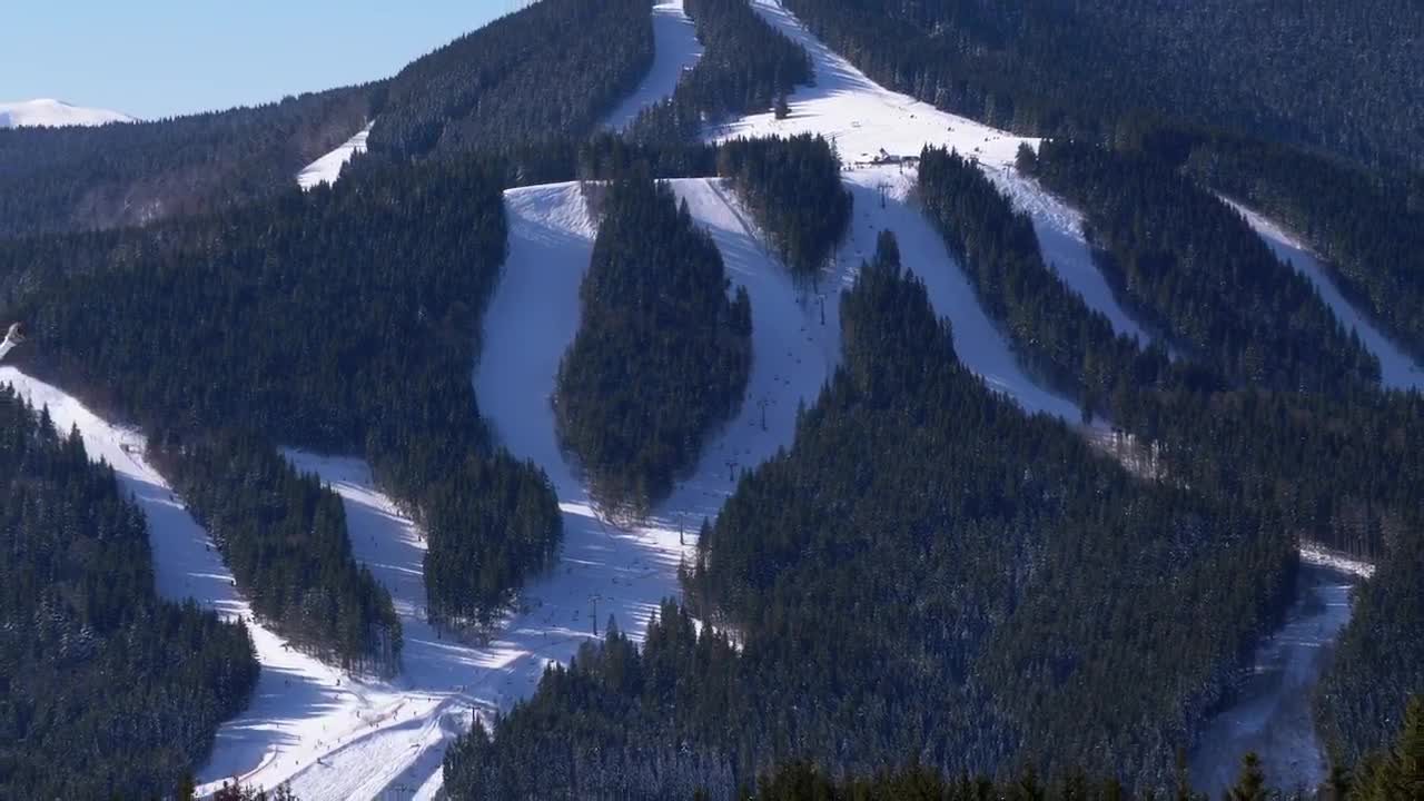 Stock Video Hills Covered With Nine And Pine Trees From Above Animated Wallpaper