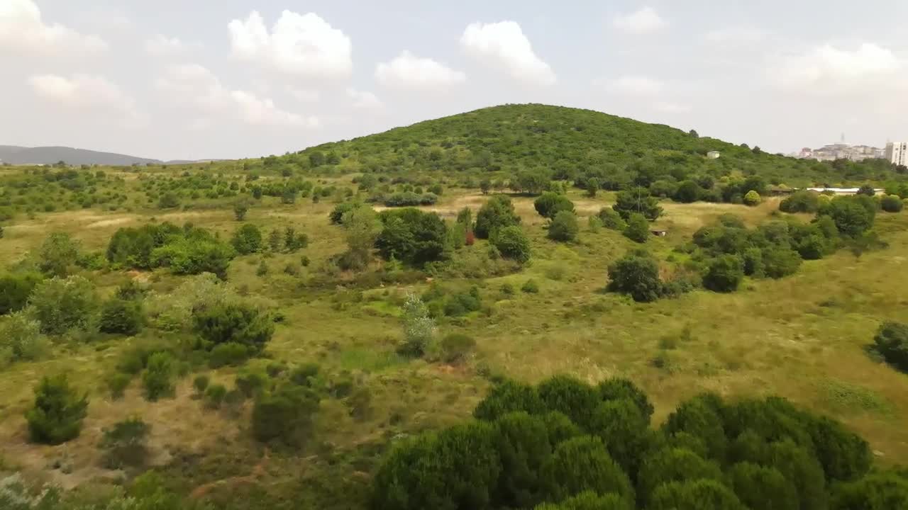 Stock Video Hill Covered With Trees And Vegetation From Above Animated Wallpaper