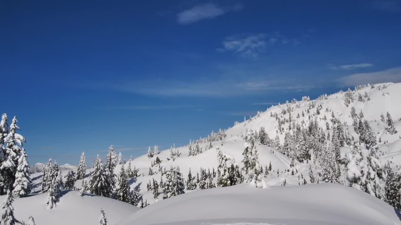 Stock Video Hill Covered With Snow And Pine Animated Wallpaper