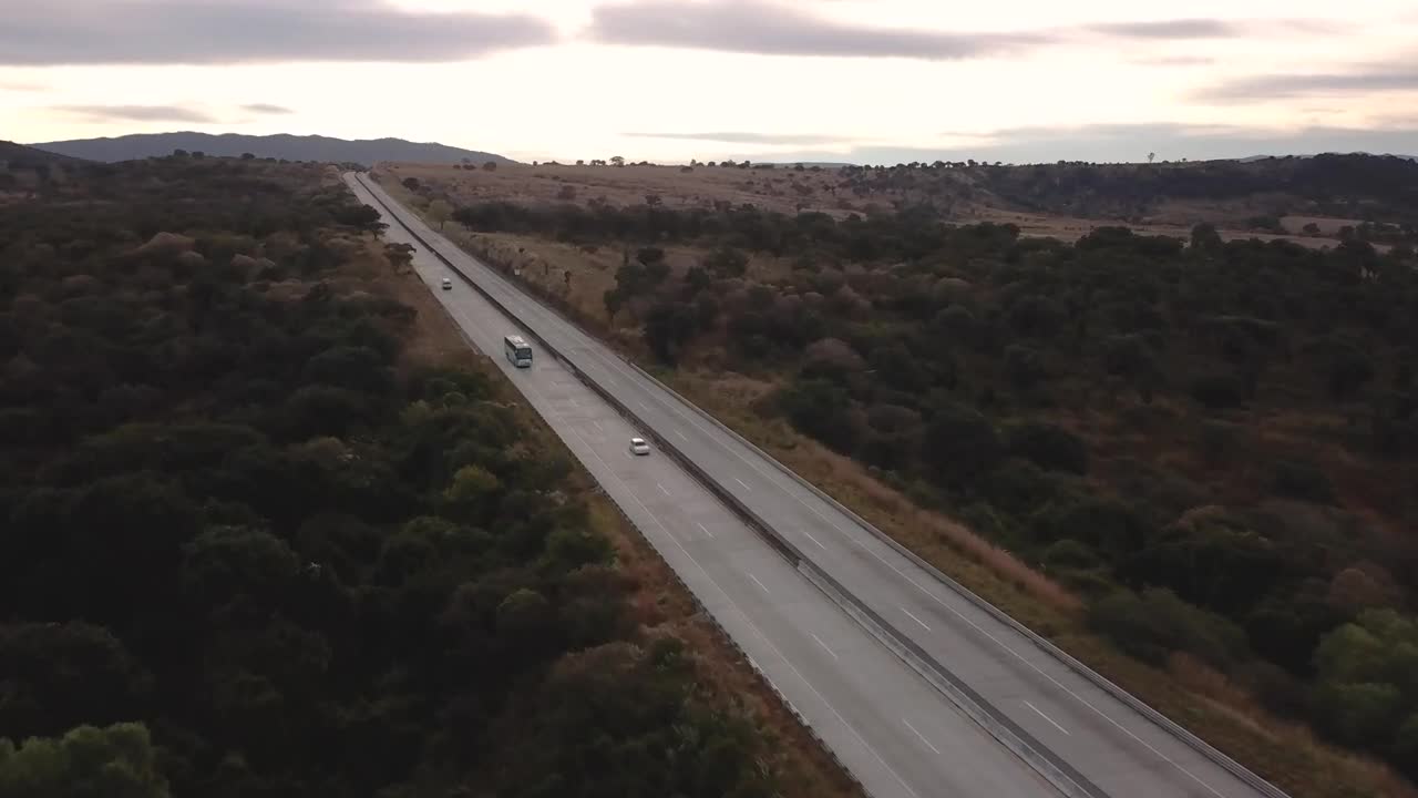 Stock Video Highway Between Trees Animated Wallpaper