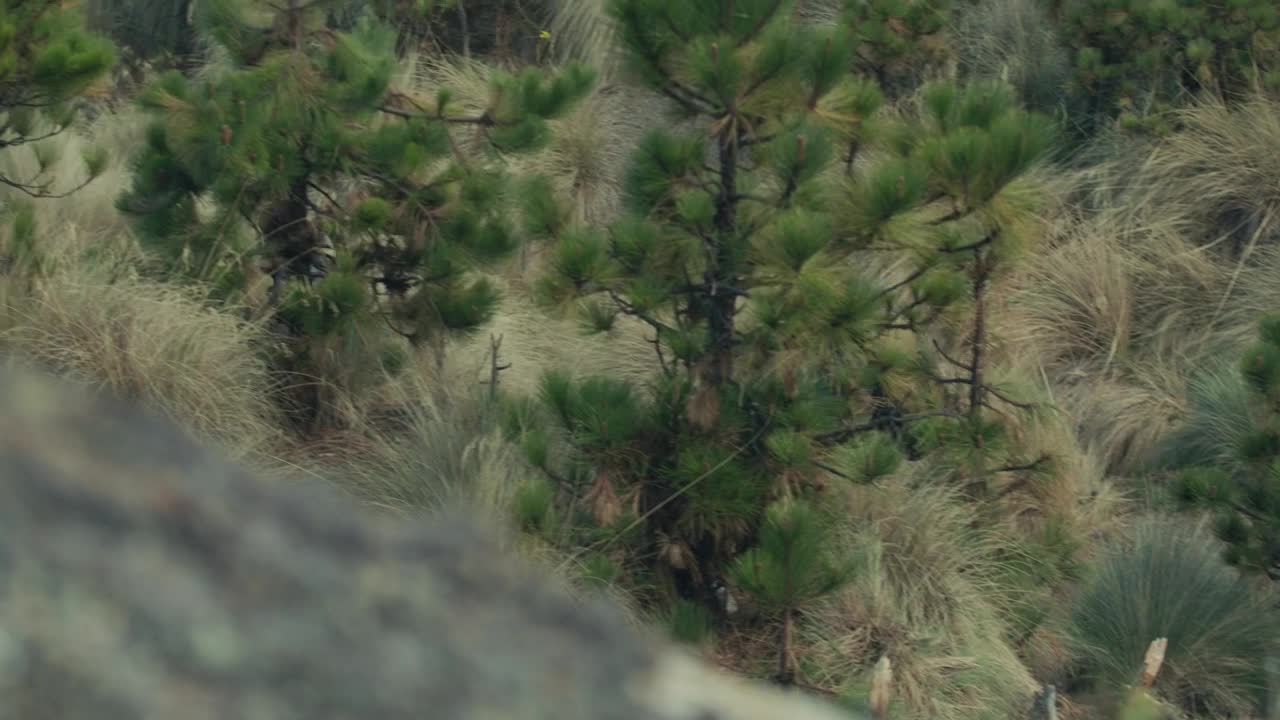 Stock Video High View Of Young People Hiking Animated Wallpaper