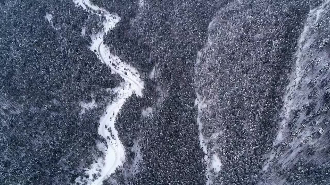 Stock Video High View Of A Frozen Mountainous Forest Animated Wallpaper