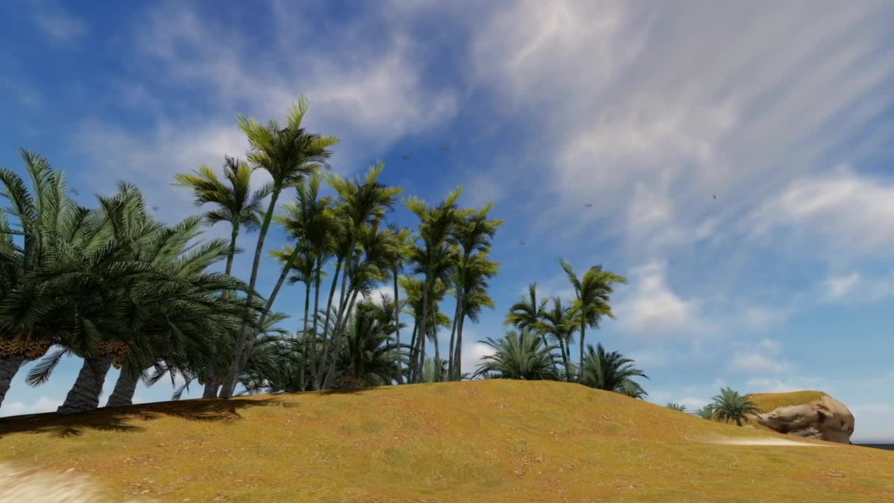 Stock Video Helicopter Flying Over A Beach Animated Wallpaper