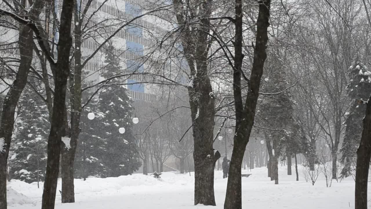 Stock Video Heavy Snowfall In A City Park Animated Wallpaper