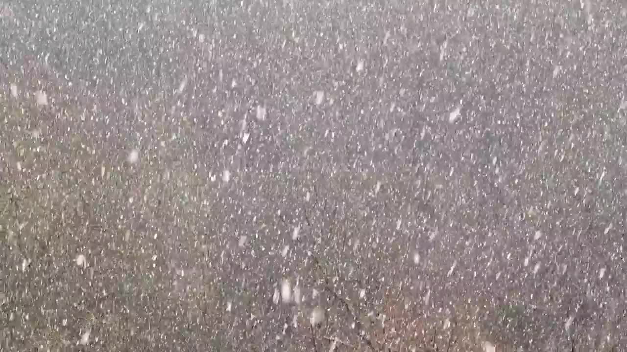 Stock Video Heavy Snow Falling Across The Landscape Animated Wallpaper
