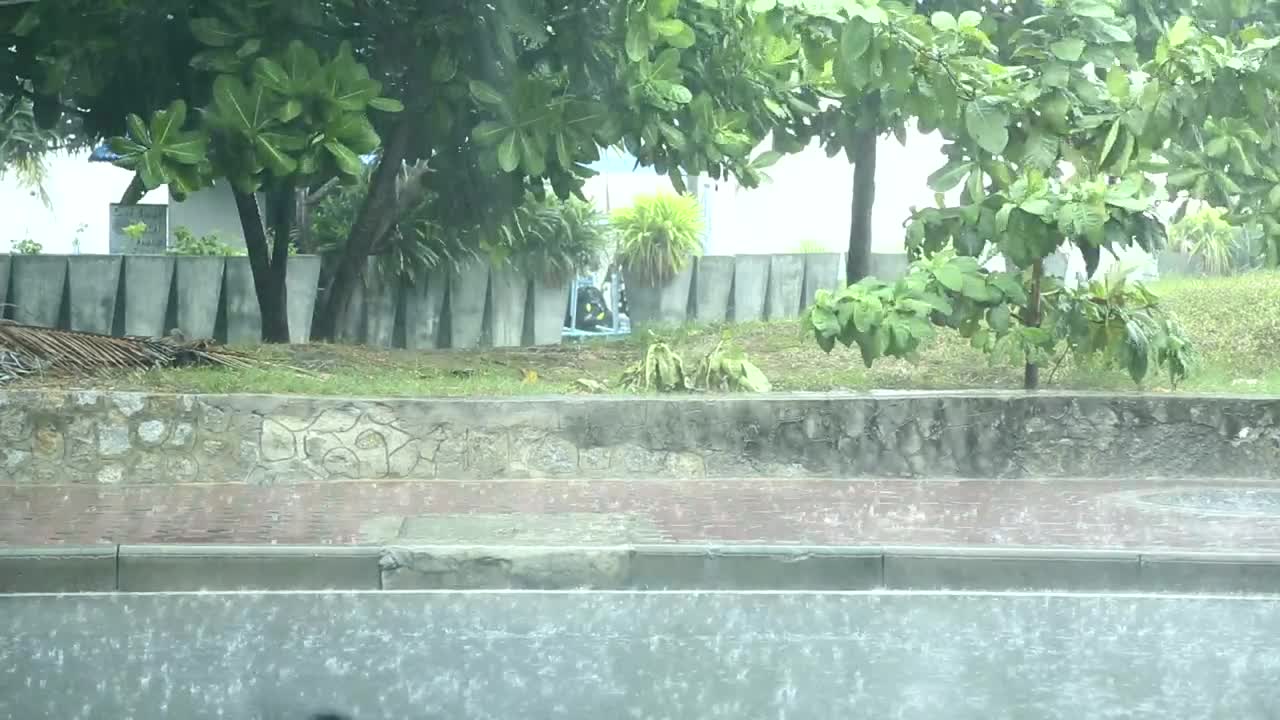 Stock Video Heavy Rain In The Street Sidewalk Animated Wallpaper