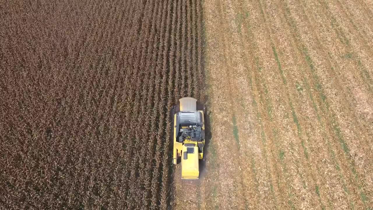 Stock Video Harvesting The Crops With A Machine Animated Wallpaper