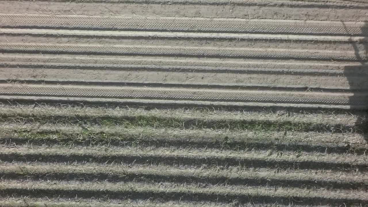 Stock Video Harvesting Potato Crops Animated Wallpaper