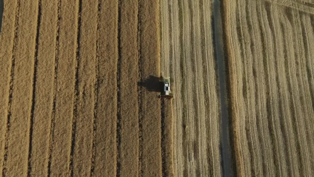 Stock Video Harvesting A Field Animated Wallpaper