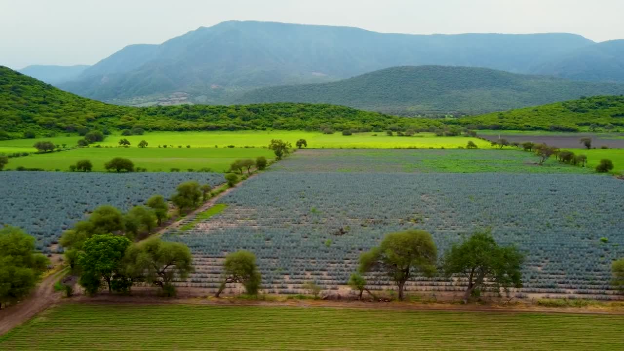 Stock Video Harvest Fields In A Meadow In A Mountain Range Animated Wallpaper