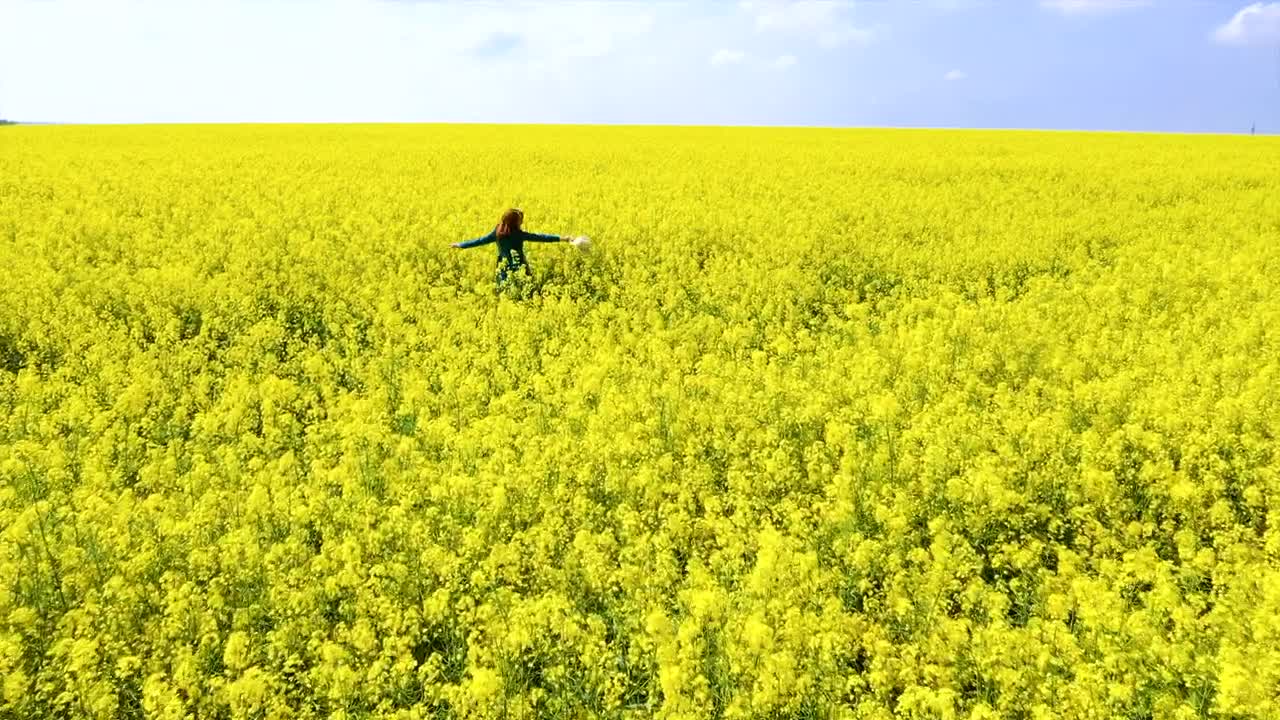 Stock Video Happy Woman On A Rapeseed Field Animated Wallpaper