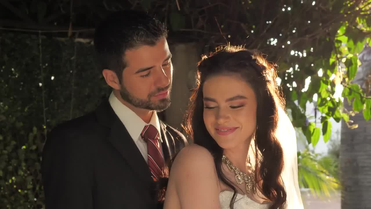 Stock Video Happy Newlyweds Posing Animated Wallpaper