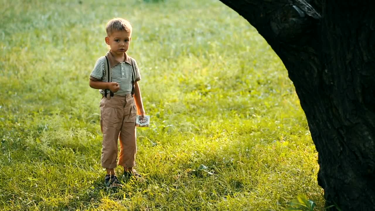 Stock Video Happy Little Child On The Park Grass Animated Wallpaper