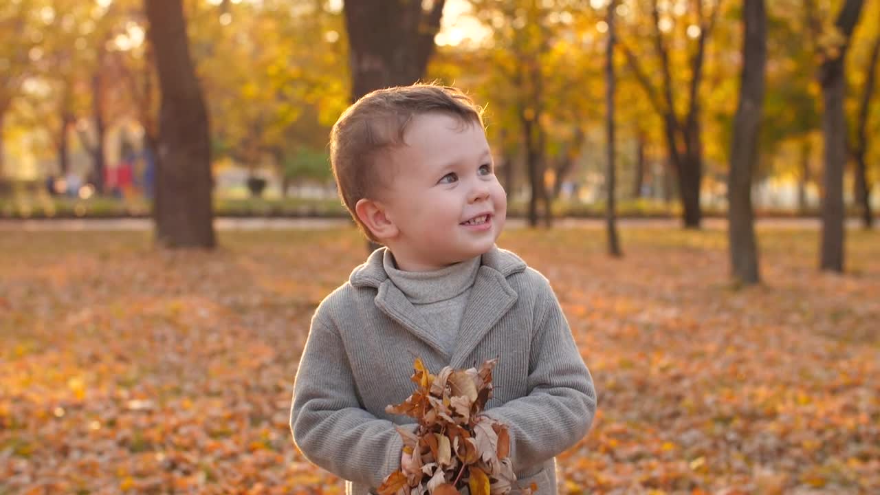 Stock Video Happy Child Playing With Autumnal Leaves Animated Wallpaper