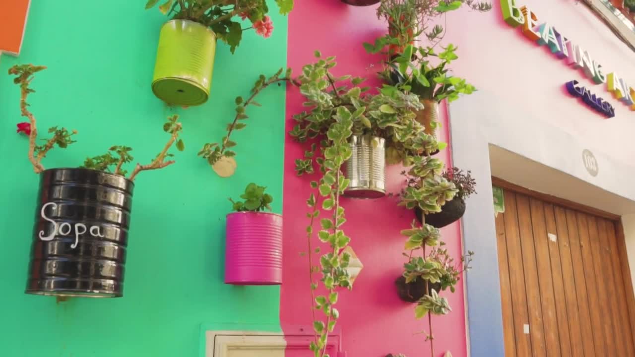 Stock Video Hanging Flowerpots In The Facade Animated Wallpaper
