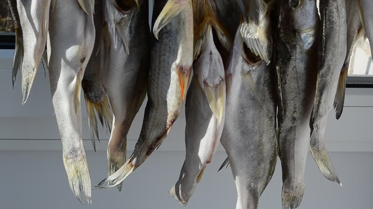 Stock Video Hanging Fish Drying In The Sun Animated Wallpaper