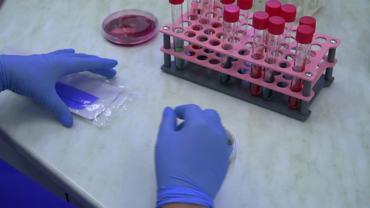 Stock Video Hands Of Person Working In A Laboratory Animated Wallpaper