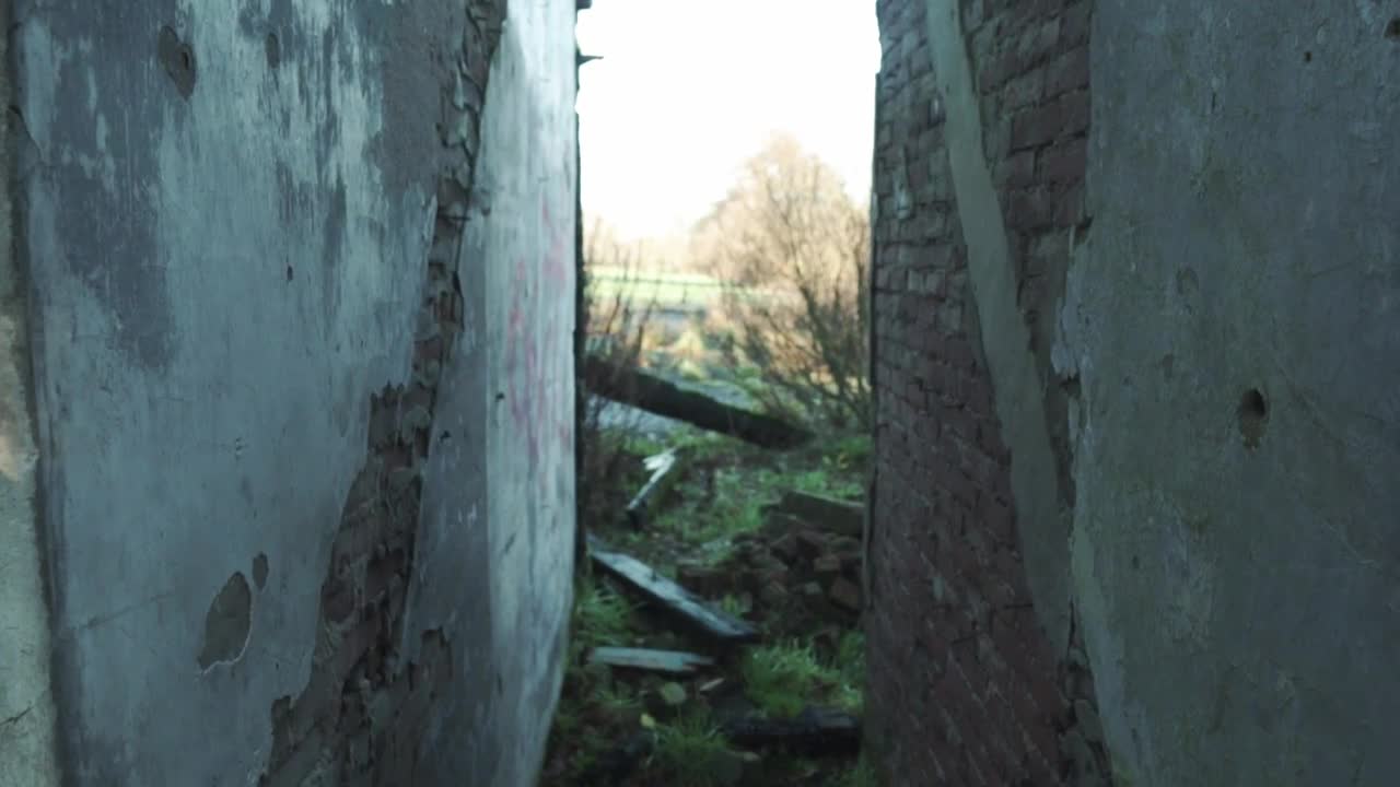 Stock Video Landscape Surrounding An Abandoned House Animated Wallpaper