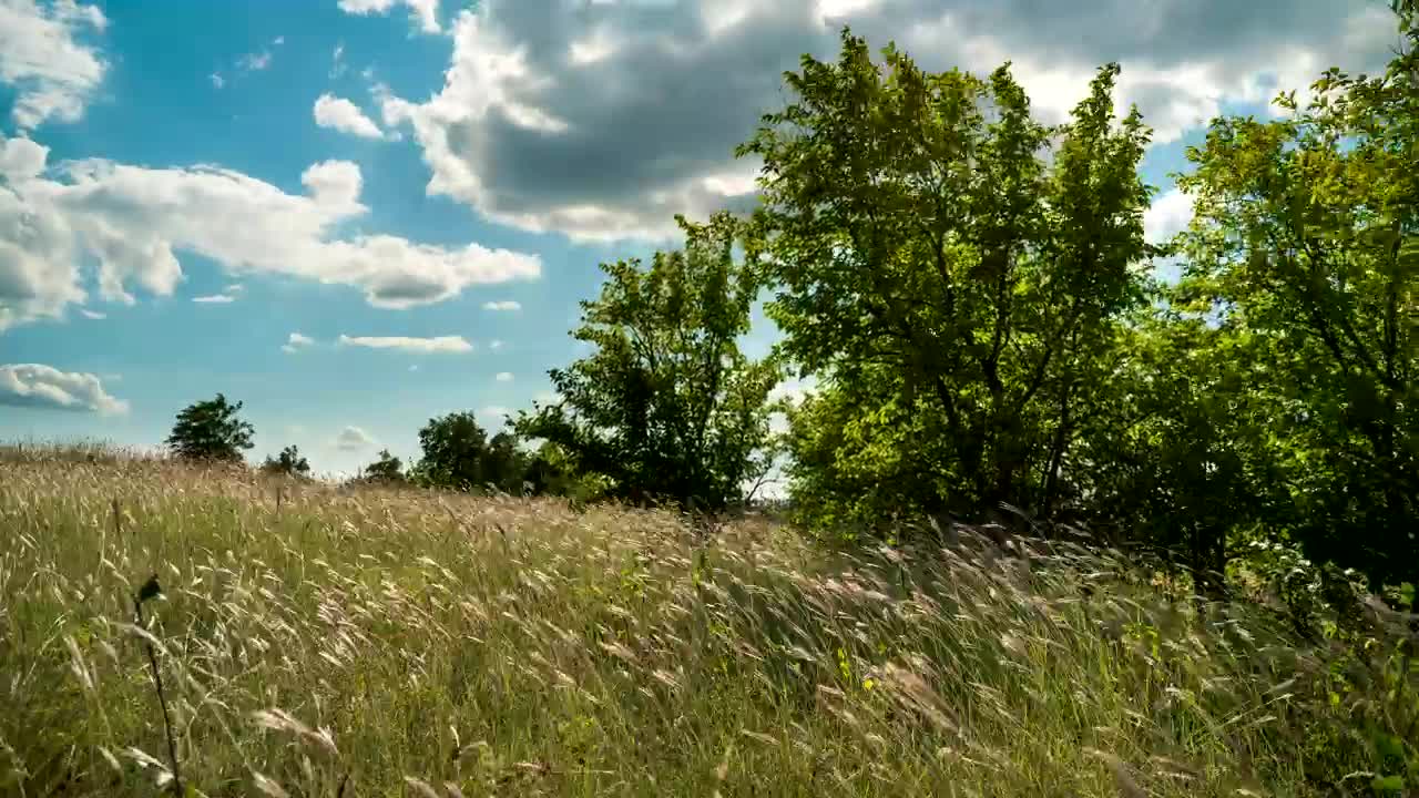 Stock Video Landscape Of The Clouds Moving Above The Hill Animated Wallpaper