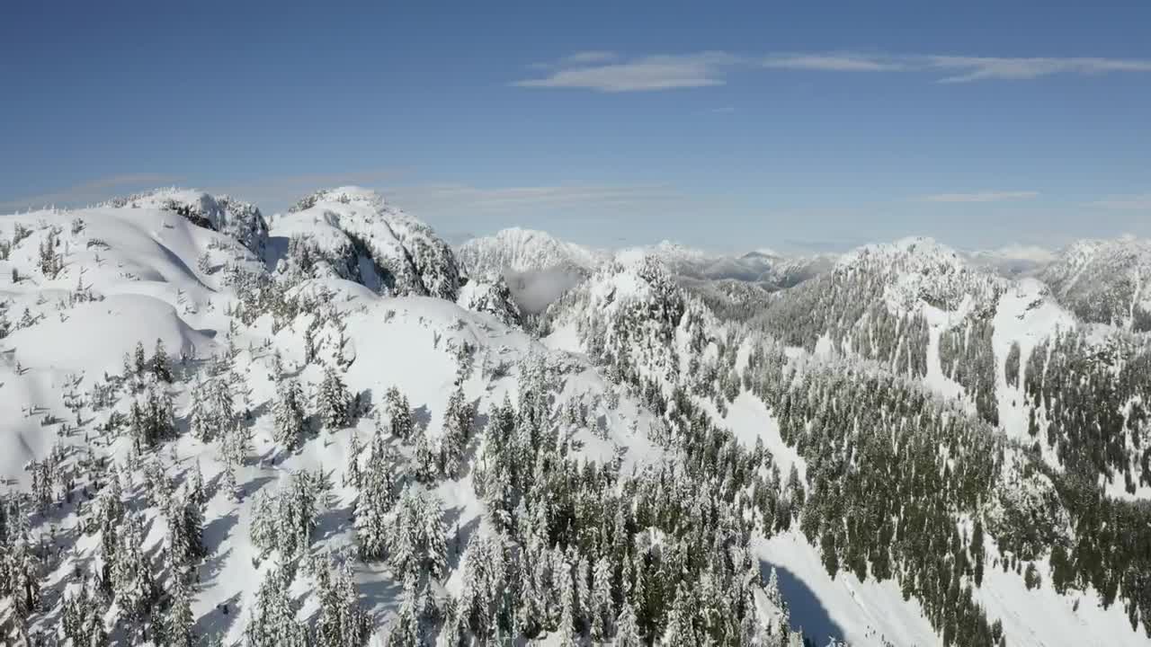 Stock Video Landscape Of Snow Covered Mountain And Pines Animated Wallpaper