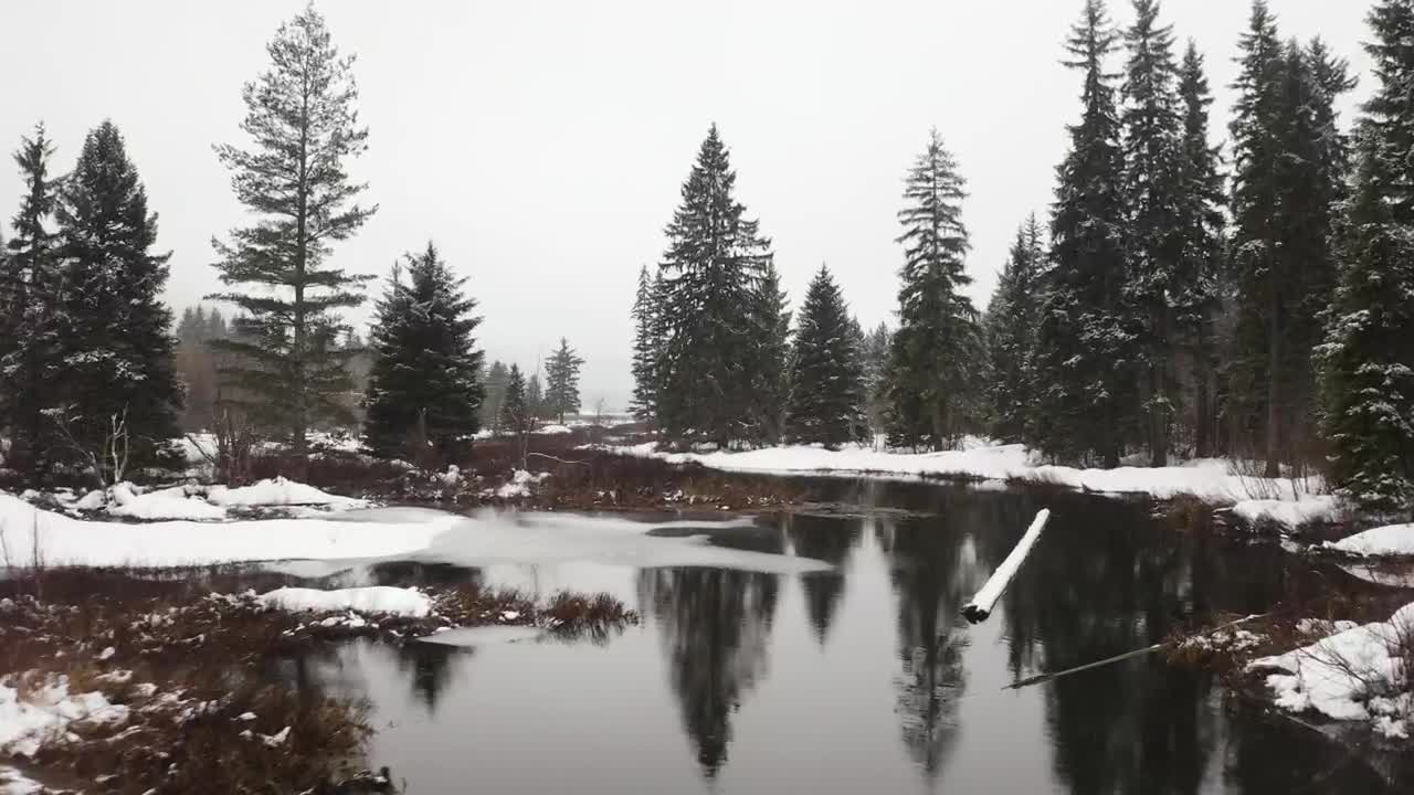 Stock Video Landscape Of A Snowy Forest With A River Animated Wallpaper
