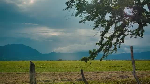 Stock Video Landscape Of A Large Open Field On A Sunny Afternoon Smal Animated Wallpaper
