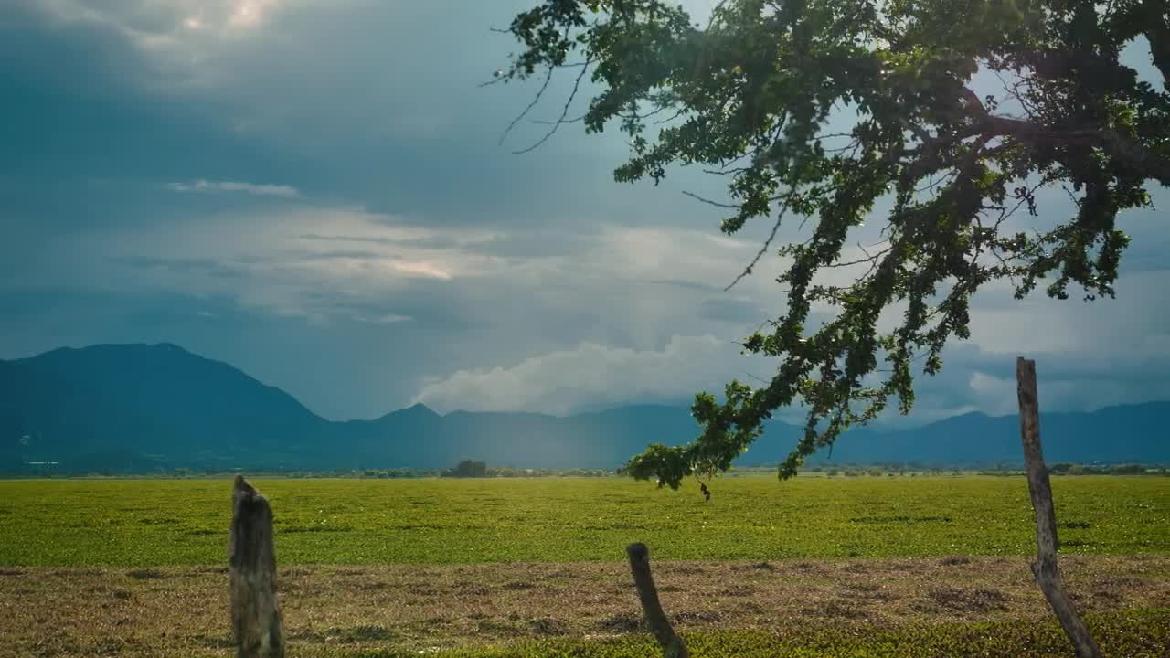 Stock Video Landscape Of A Large Open Field On A Sunny Afternoon Animated Wallpaper