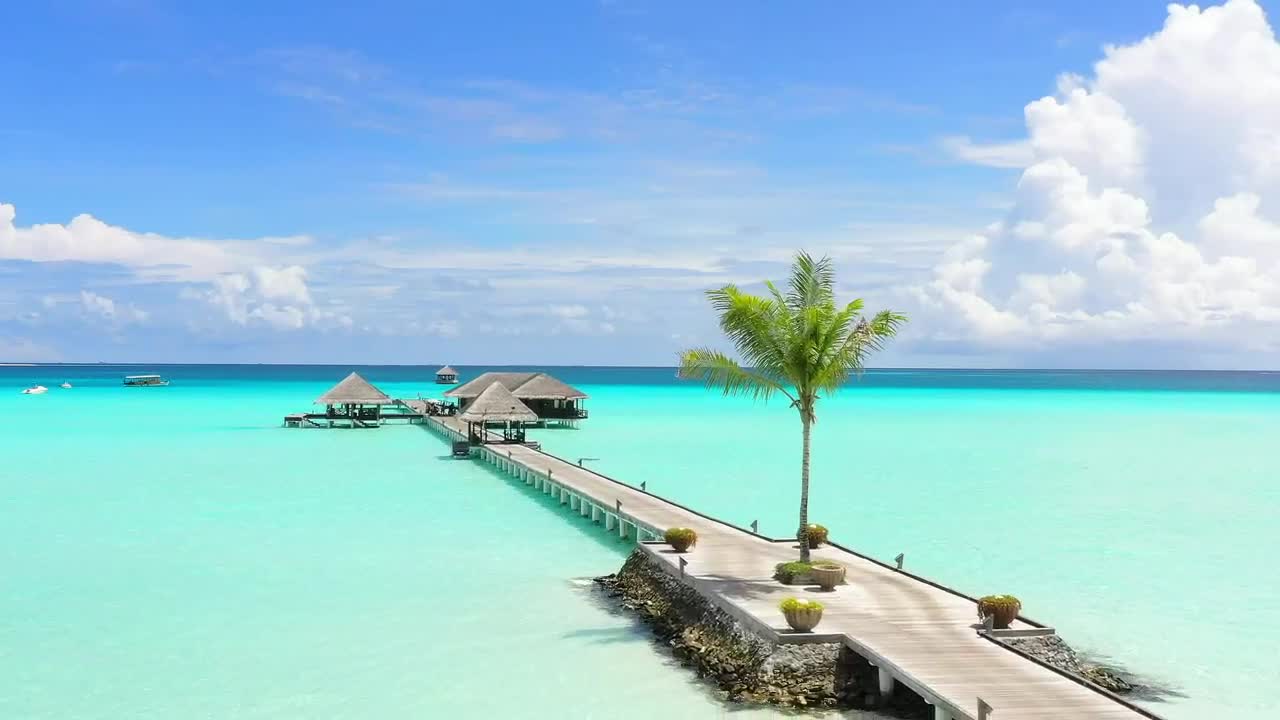 Stock Video Landscape Of A Dock In Clear Waters Animated Wallpaper