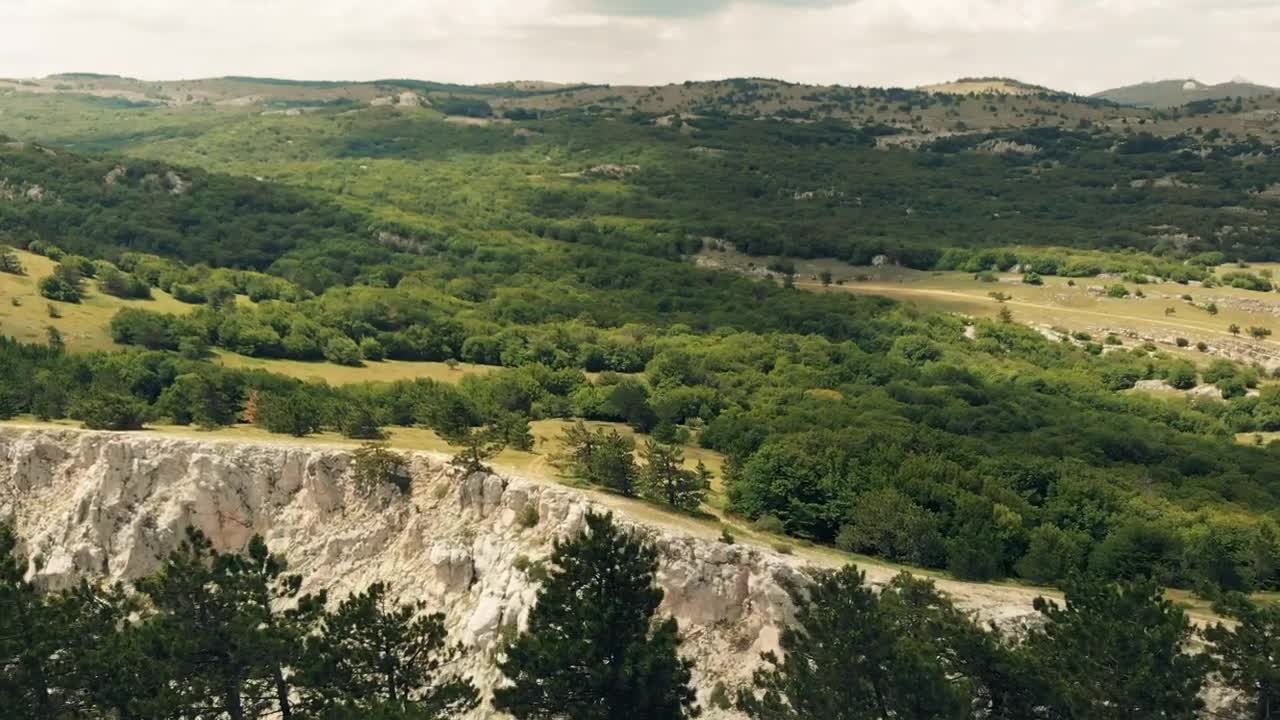 Stock Video Landscape Of A Forest And Rocky Mountains Animated Wallpaper