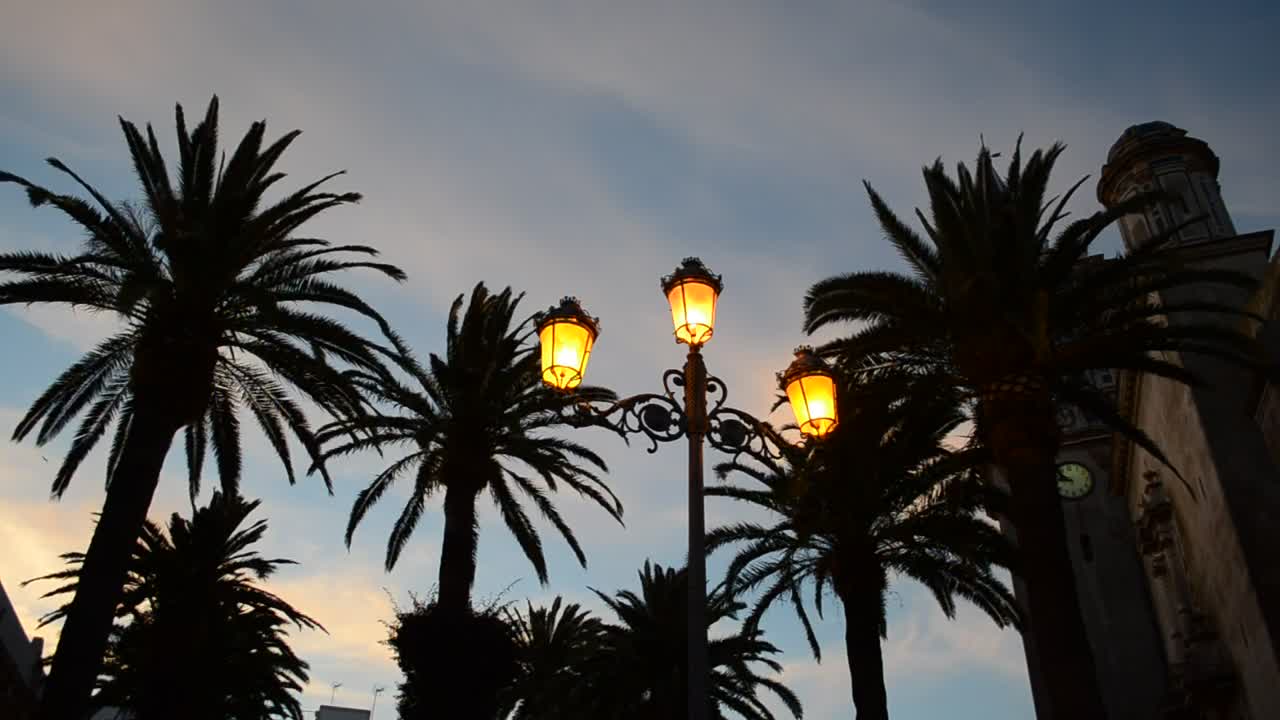 Stock Video Lamps On A Cool Night Animated Wallpaper