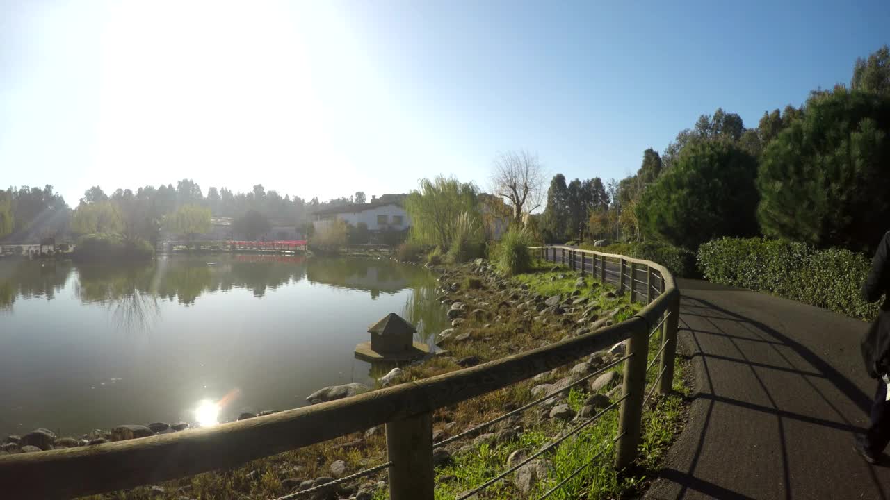 Stock Video Lakeside Walk Animated Wallpaper