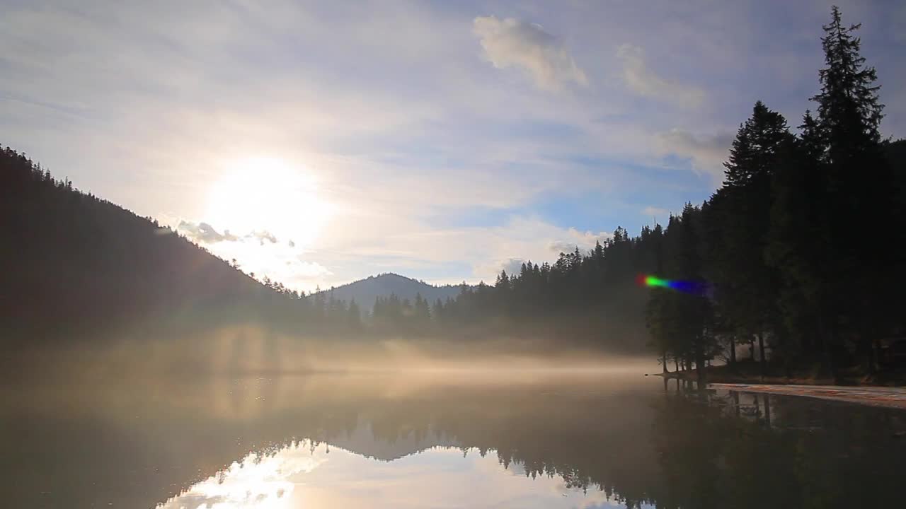 Stock Video Lake With Mist In The Middle Of A Forest With Animated Wallpaper