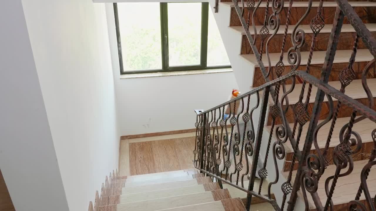 Stock Video Man In Ppe Delivers Groceries During Quarantine Animated Wallpaper