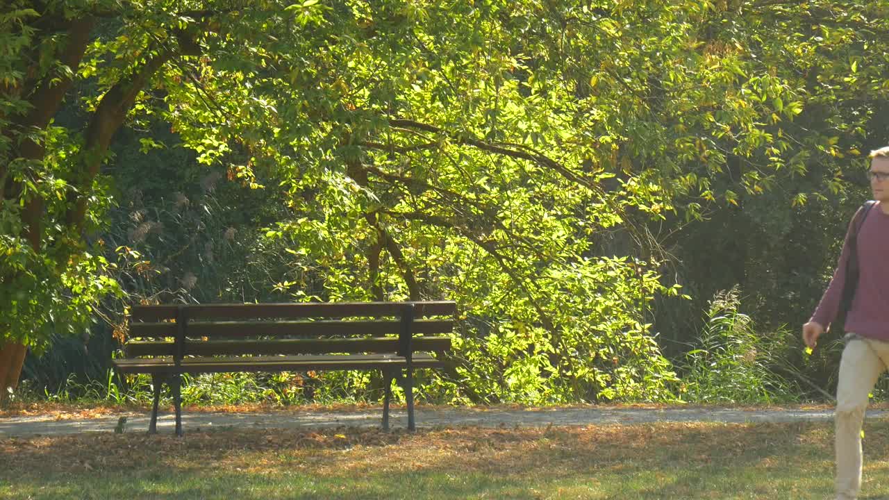 Stock Video Man In Glasses Walking On The Park Animated Wallpaper