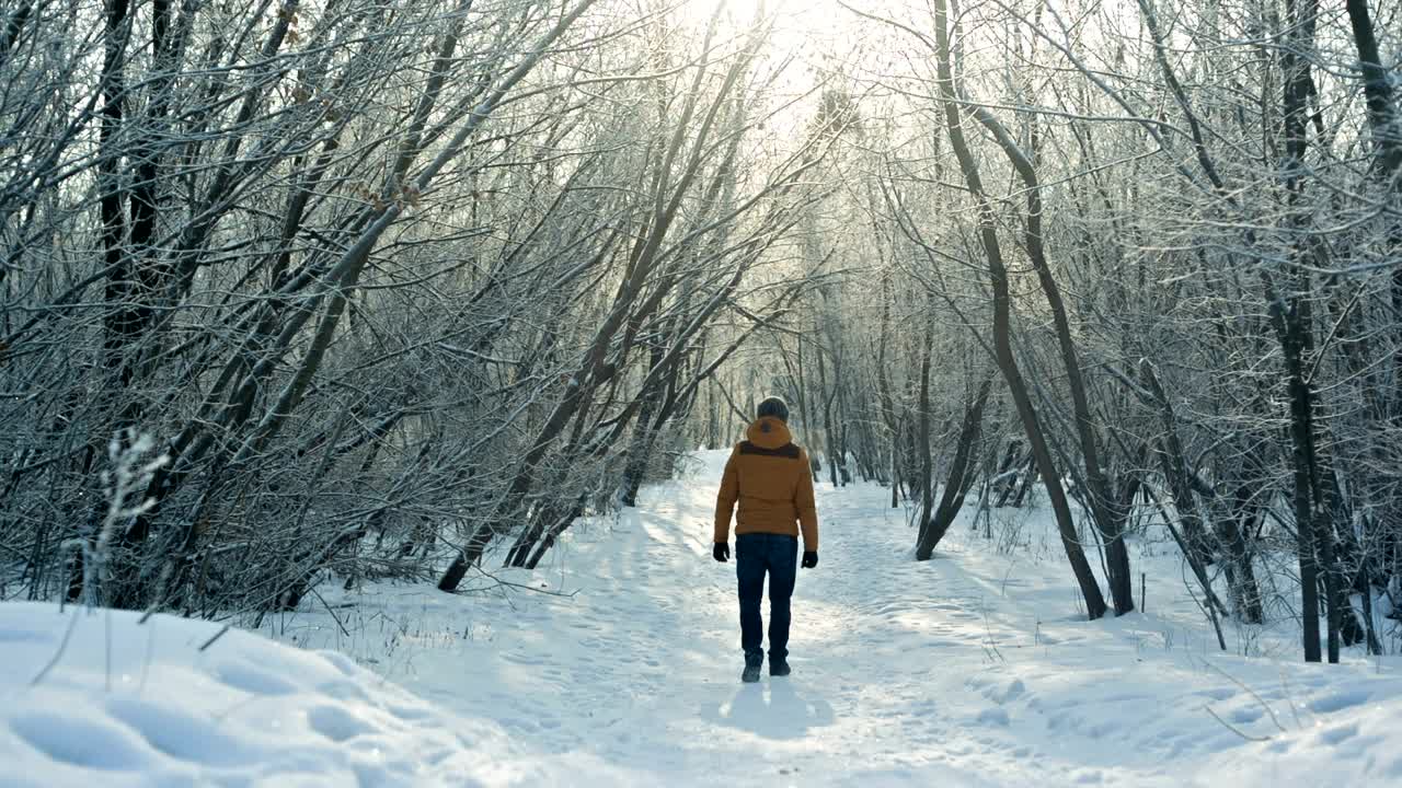 Stock Video Man In A Snowy Forest Greets The Camera Animated Wallpaper