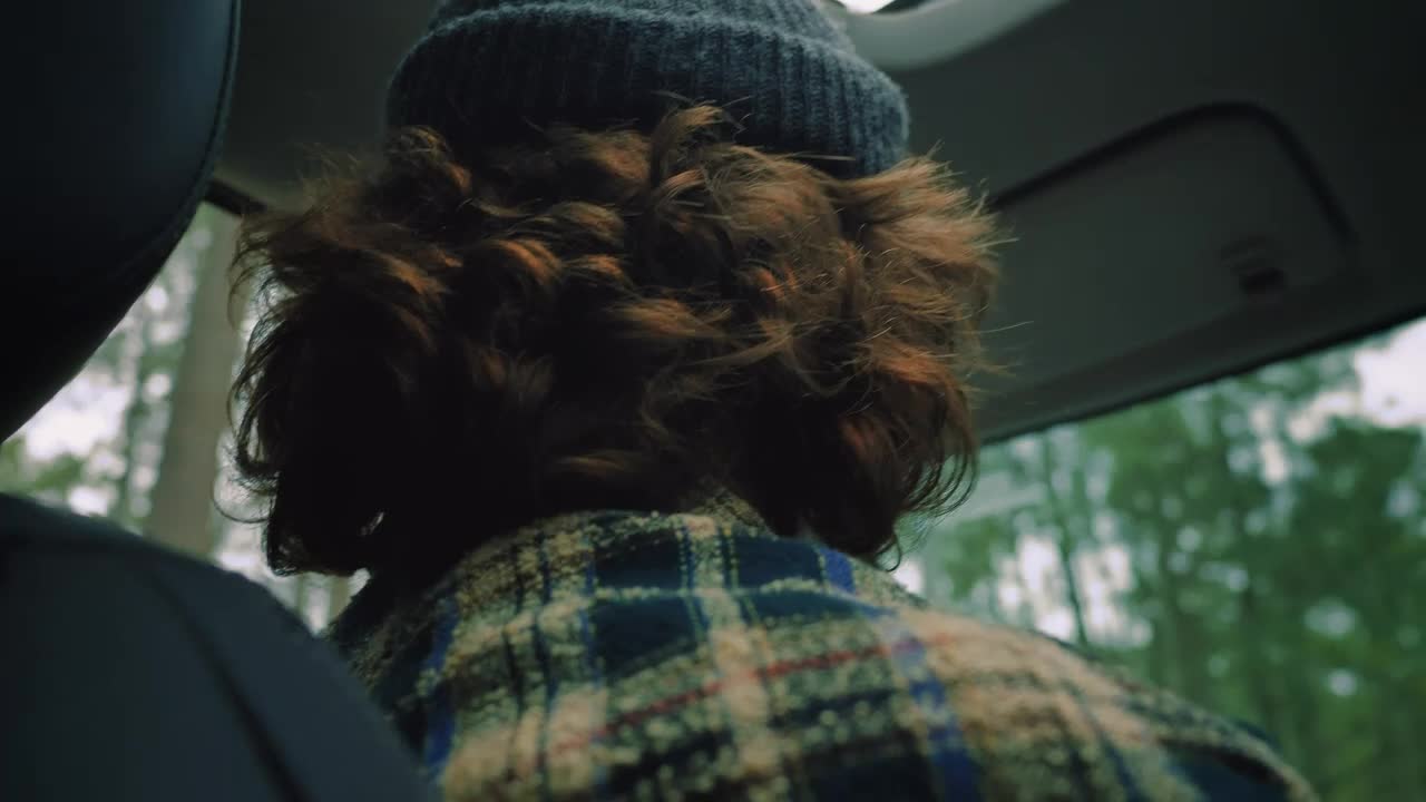 Stock Video Man Driving A Car Between Trees Through A Forest Animated Wallpaper