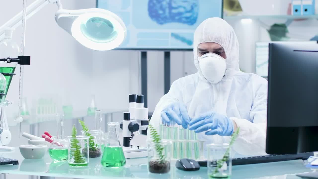 Stock Video Man Checking Organic Samples Animated Wallpaper