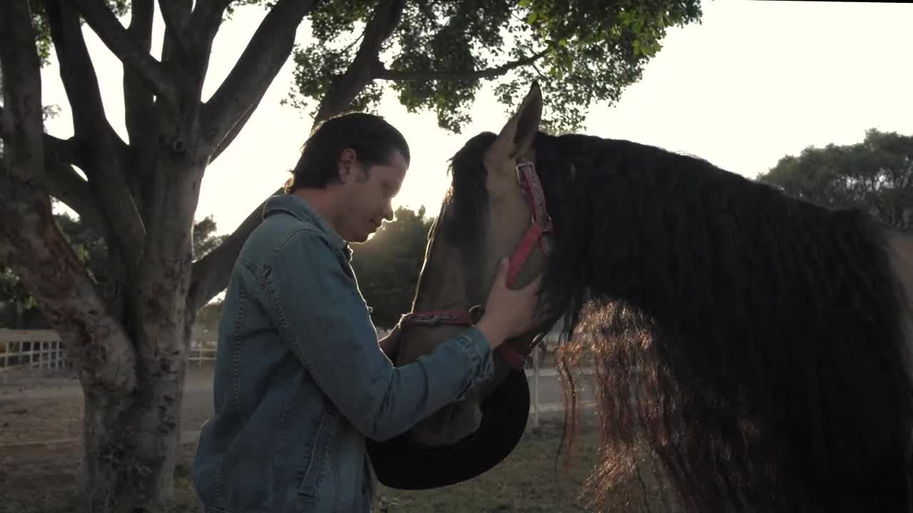 Stock Video Man Caressing Horse Animated Wallpaper